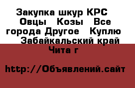 Закупка шкур КРС , Овцы , Козы - Все города Другое » Куплю   . Забайкальский край,Чита г.